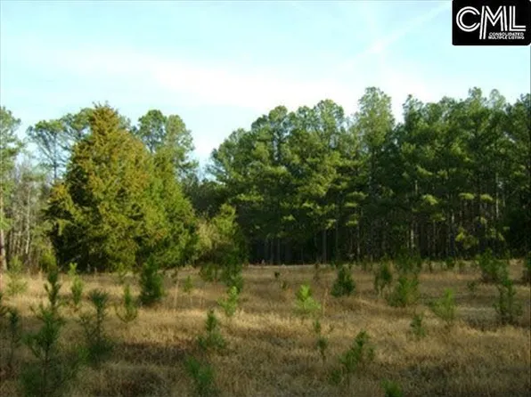 11 Keels Ct, Elgin, SC 29045