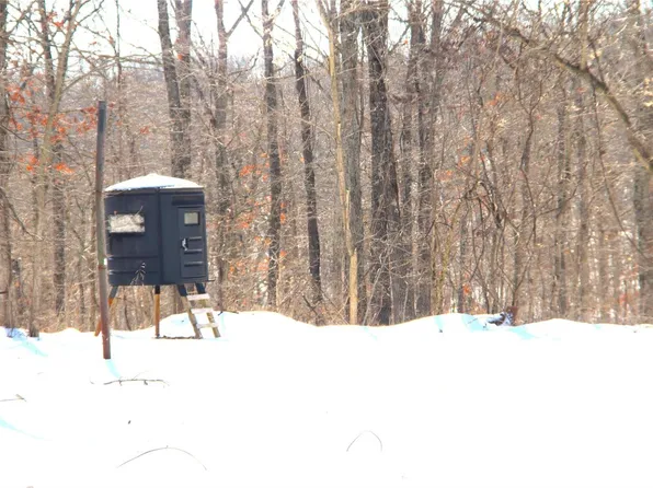 8910 Hillsboro Rd, Valles Mines, MO 63087