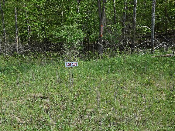 2nd image of L169 Black Forest Dr