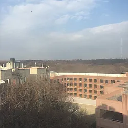 Rented by A.N. Shell Realty