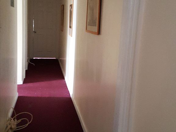 5th image of 523 Rogers Ave.