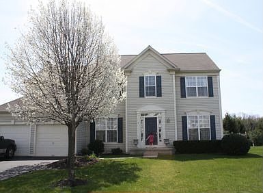 Photo in the Spring