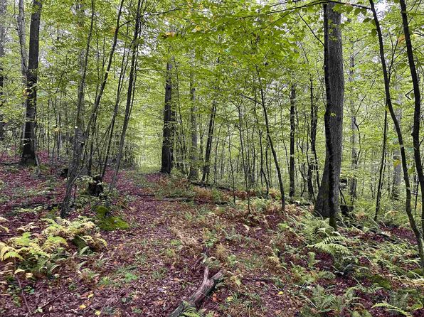 6 Deckers Trail Rd, Masontown, WV 26542