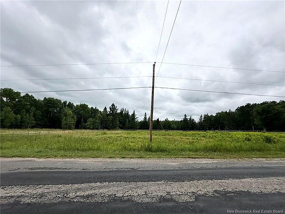 2nd image of Collina Rd