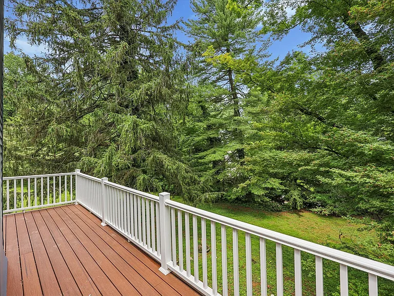 218 Biddulph Rd — Photo 12