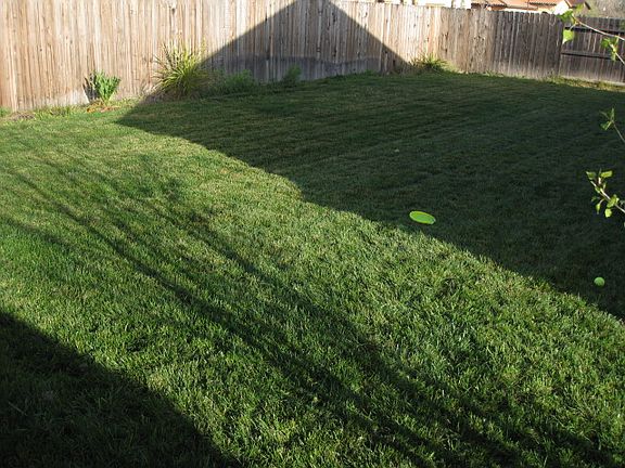 Large well kept back yard
