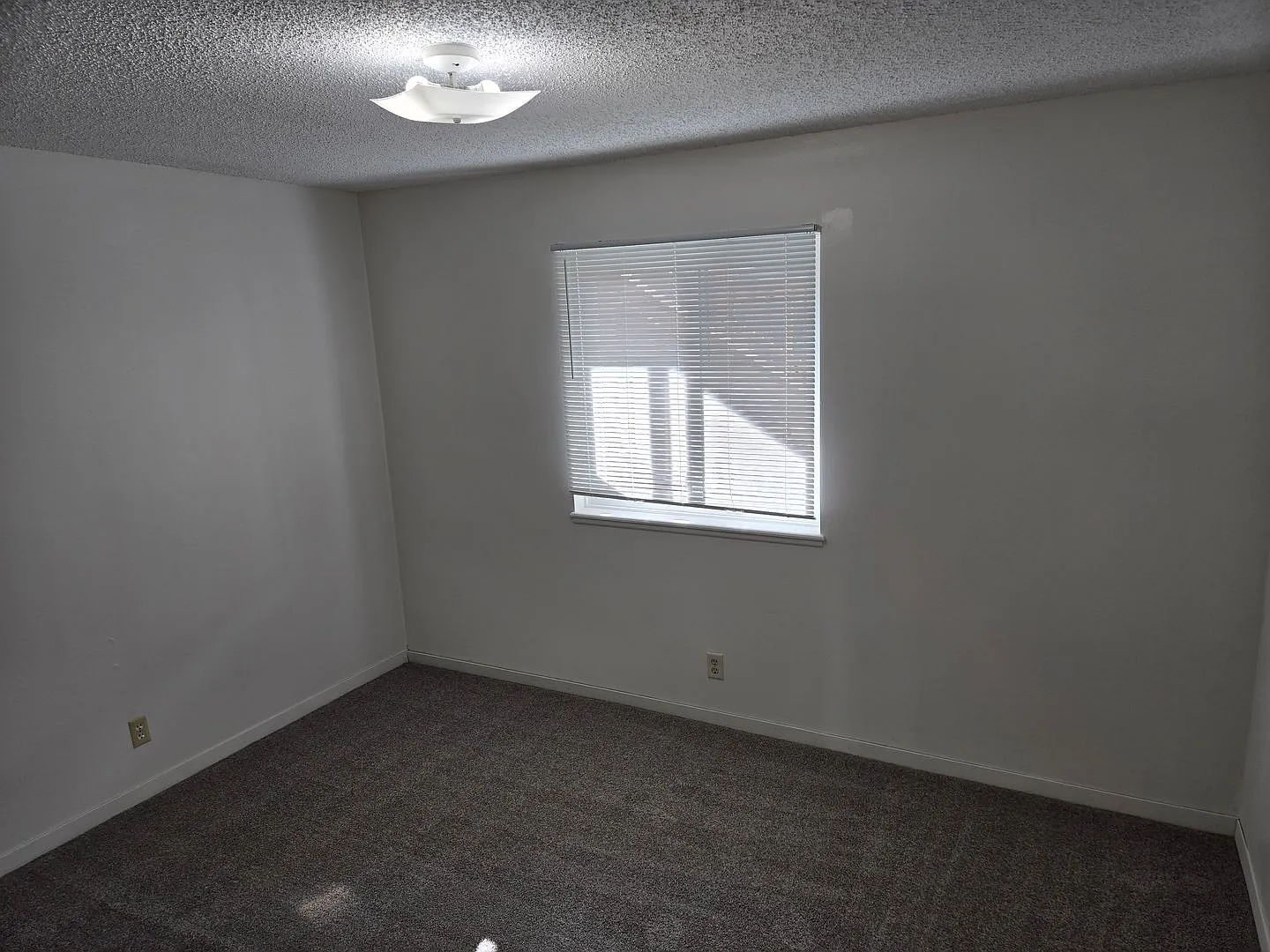 1701 Prospect Street Apartments — Photo 2