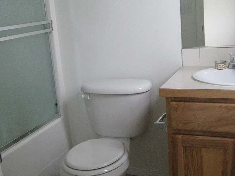 Master bath with tub/shower