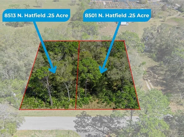 8513 N Hatfield Ter, Crystal River, FL 34428