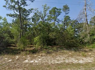 4230 W Fountain Ln, Citrus Springs, FL 34433