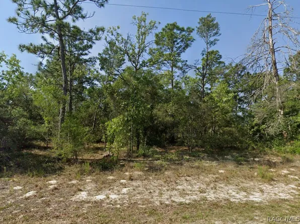 4230 W Fountain Ln, Citrus Springs, FL 34433
