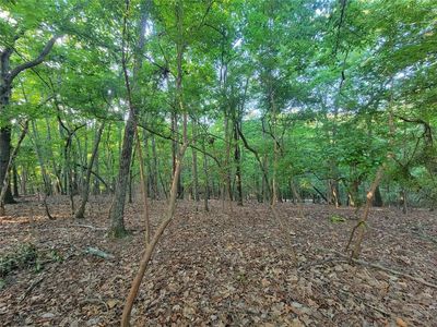 1275 Goldfinch Poin #1275, Jasper, GA, 30143