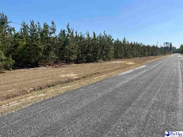 Fore Rd, Latta, SC 29565