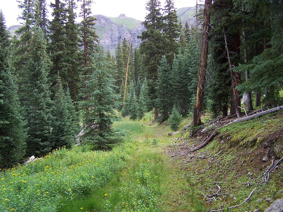 1st image of Tbd Hope Lake Rd