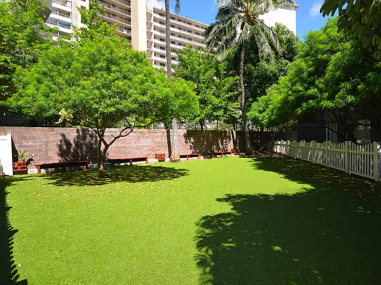 Moana Vista Apartments yard