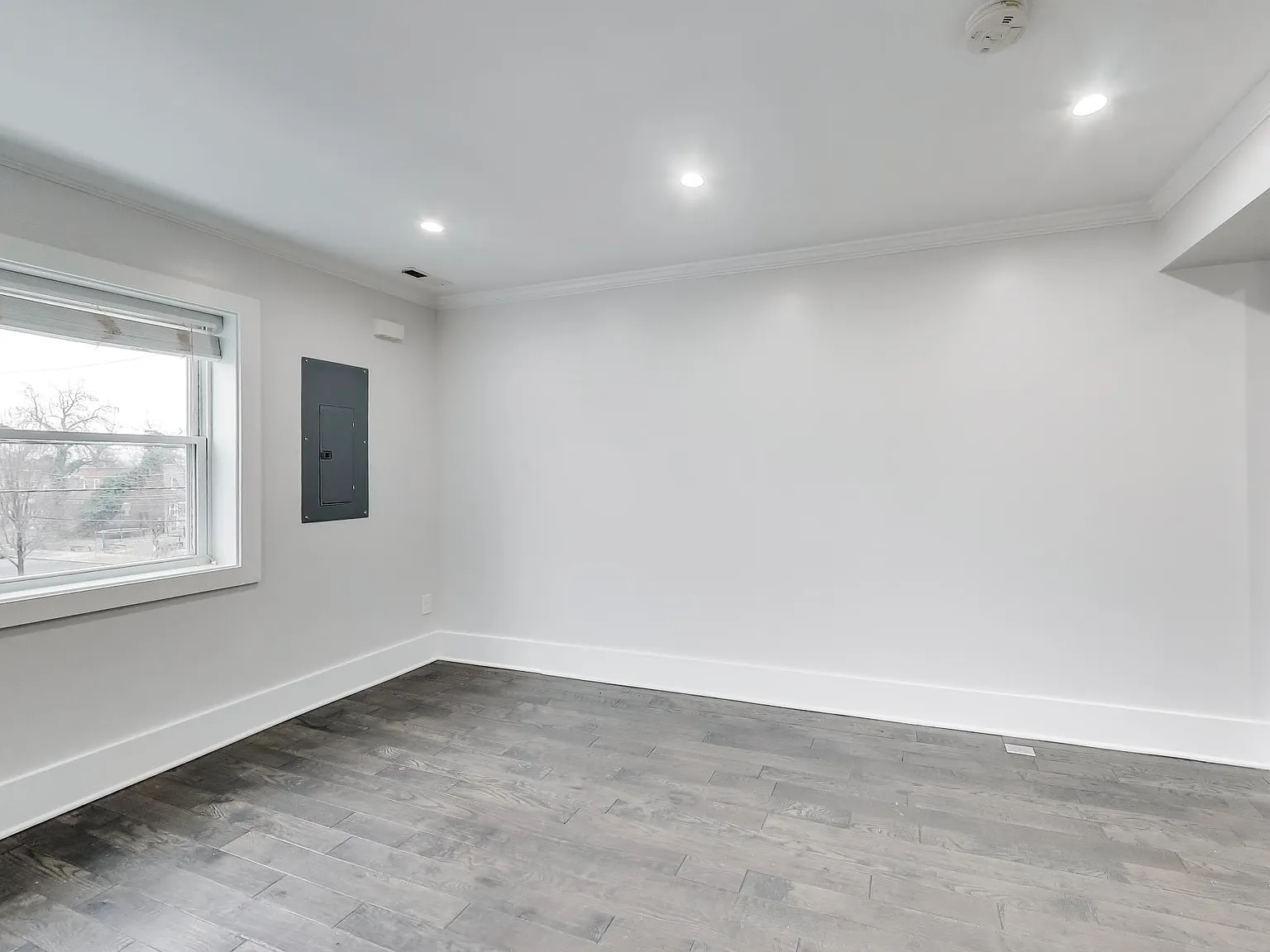 1 bed, 565 sqft, $1,095 — Photo 4