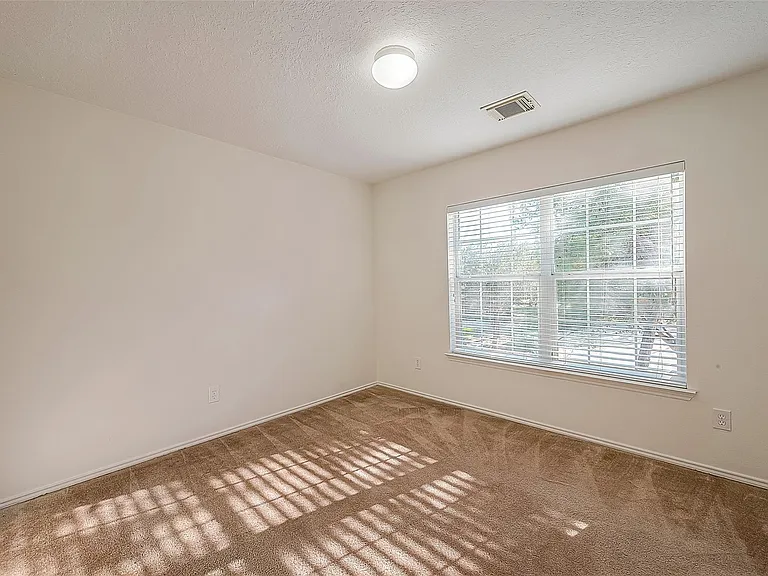 17210 Double Lilly Dr — Photo 25