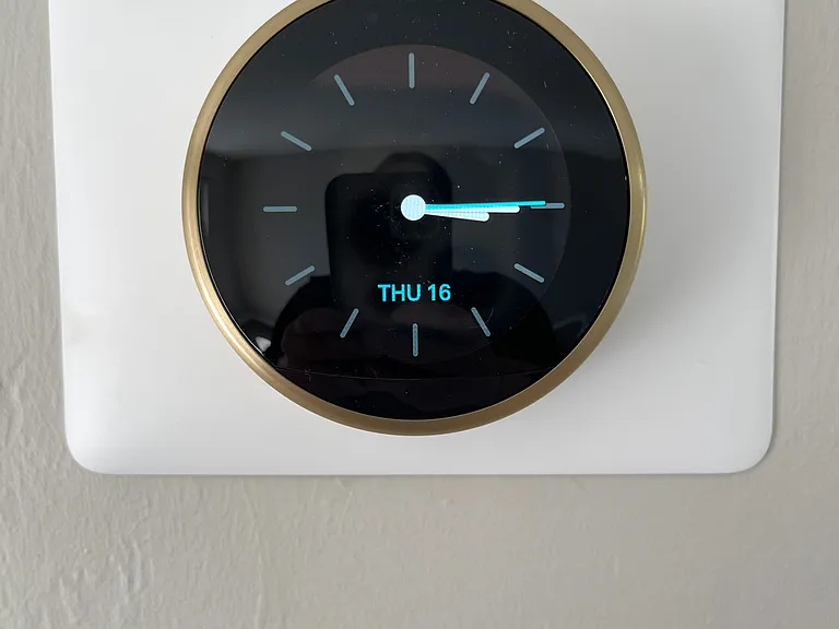Smart Nest thermostat