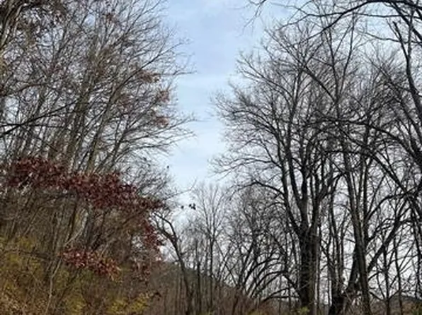 16168 Deer Valley Trl, Ferryville, WI 54628