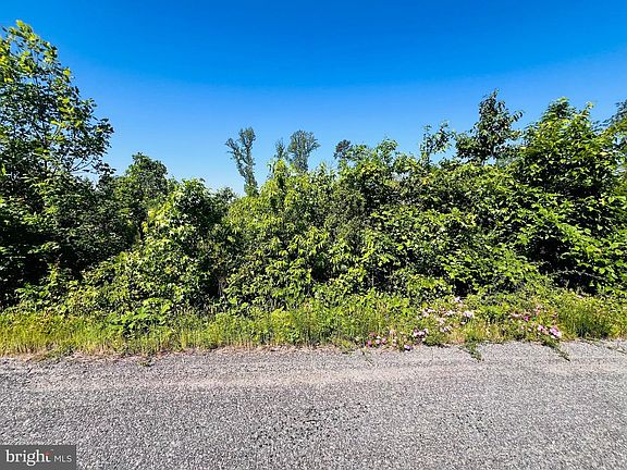 3rd image of 0 Forest Rd