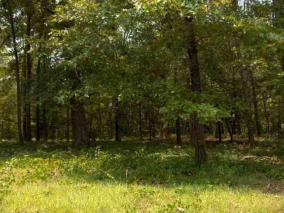 3rd image of 4564 Grey Heron Dr. Lot 47 The Dye Estates