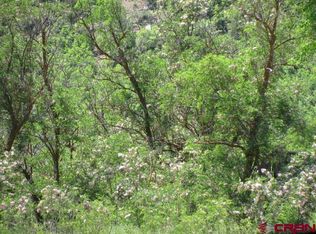 315 Doc Adams Rd, Pagosa Springs, CO 81147