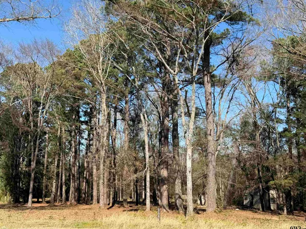 11266 Fm 344 W, Bullard, TX 75757