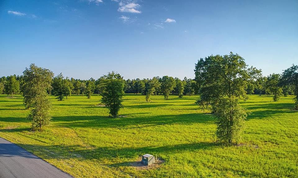 1st image of Bayboro Cir Lot 48