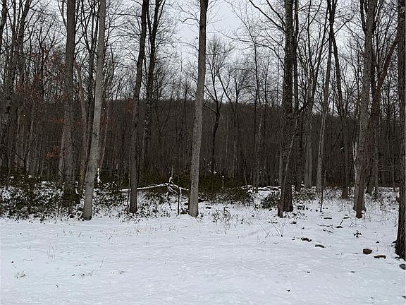 2nd image of Lake Dr