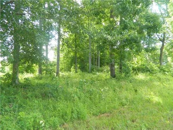 Dogwood Ln, Leoma, TN 38468