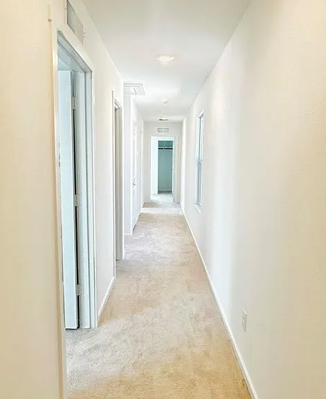 908 Grebe Dr — Photo 20
