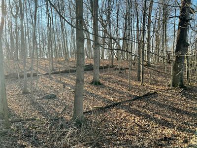 0 Burrwood Dr, Springfield, OH, 45503