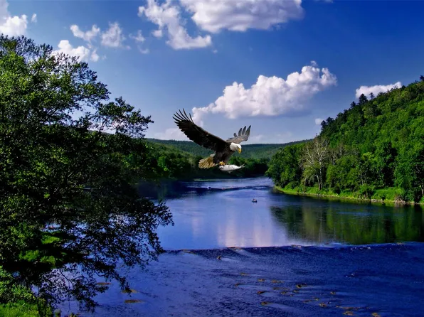 1684 Kinney Road, Long Eddy, NY 12760