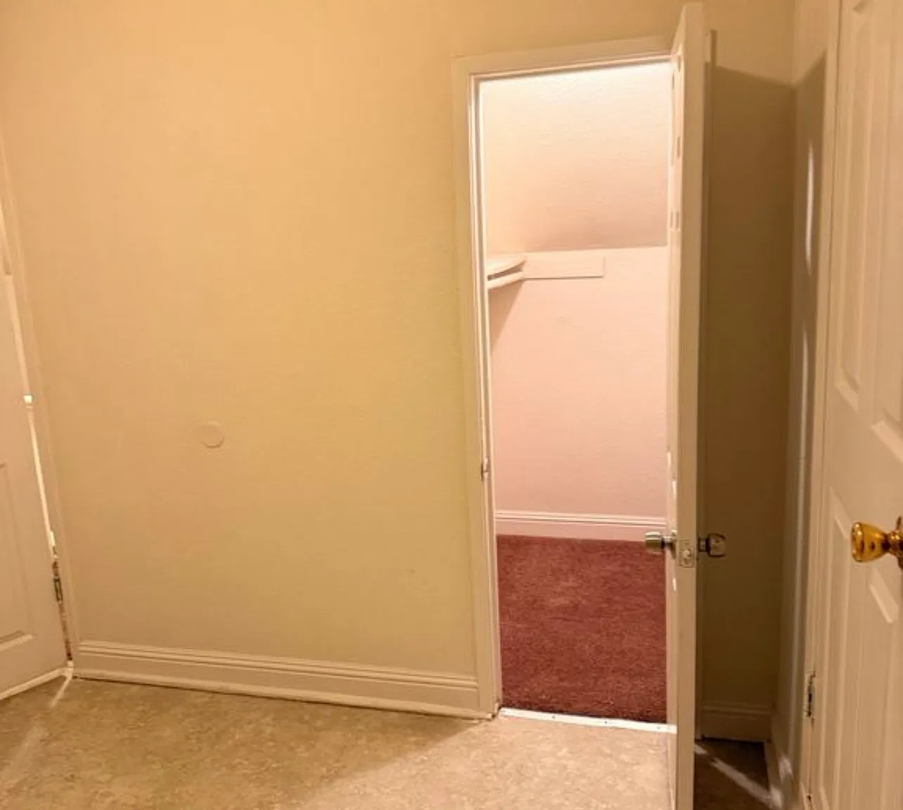 3 bed, $2,800 — Photo 3