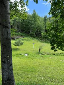 110 Grey Fox Ln, Marble, NC, 28905