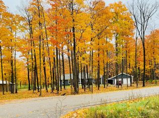 8530 Brudy Rd, Wolverine, MI 49799