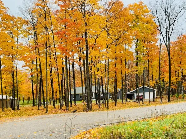 8530 Brudy Rd, Wolverine, MI 49799