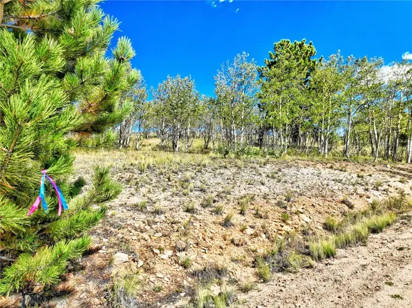 3046 Warrior Cir, Como, CO 80456