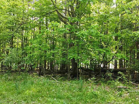 5th image of 0 Cedar Trl