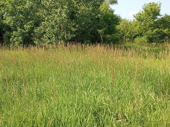 5th image of 5229 Sage Lake Rd