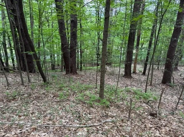 56 Brattleboro Rd, Bernardston, MA 01337
