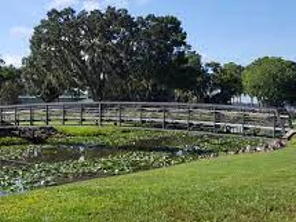 Charming 1 & 2 bedroom units Near Downtown Orlando | On-Site Laundry & Yard