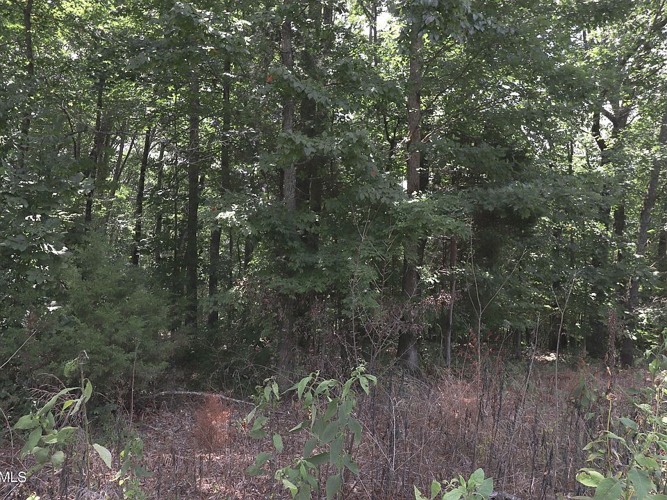 2nd image of Nathan Ln