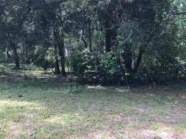 26047 Exmoor Dr, Mount Plymouth, FL 32776