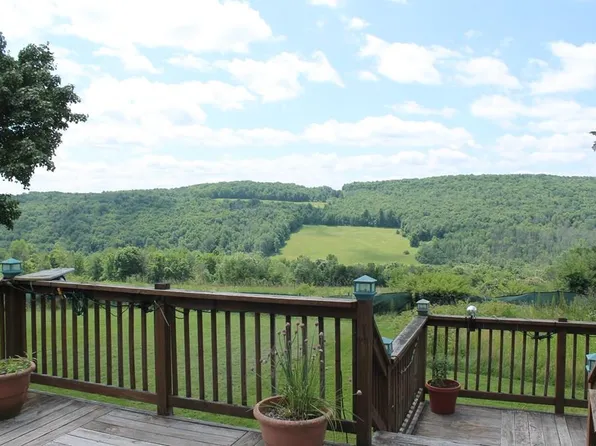 11512 Riley Hill Rd, Pine City, NY 14871