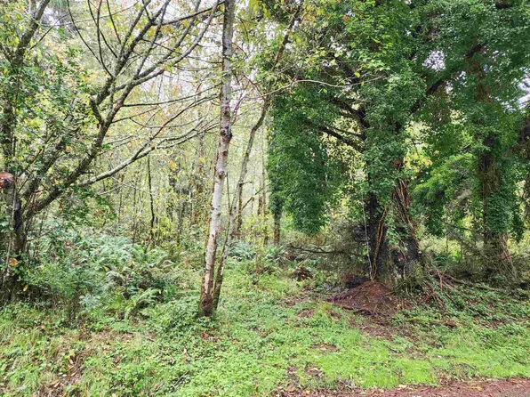 545 Bertsch Ave, Crescent City, CA 95531