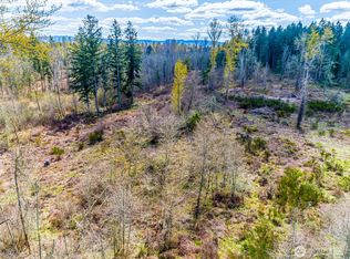 0 40th Avenue S, Roy, WA 98580
