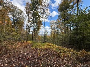 Salt Rising Rd Lot 12, Bolivar, NY 14715