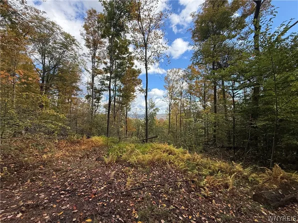 Salt Rising Rd Lot 12, Bolivar, NY 14715
