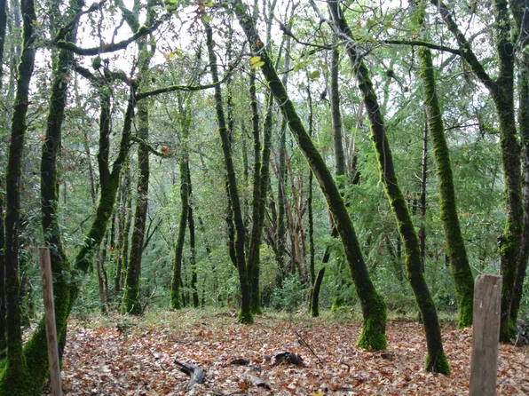 5585 Pine Ridge Rd, Foresthill, CA 95631